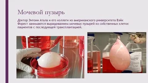 Пузырь в медицине