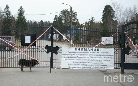 Спб северное кладбище как доехать транспортом