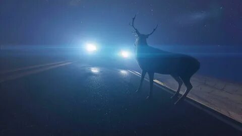 Oh deer! Keep an eye out for animals on the road