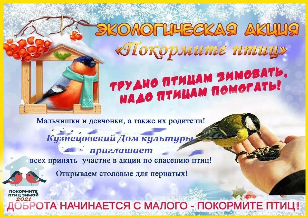 Акция покормите птиц зимой отчет. Акция покормите птиц зимой. акция покорми птиц зимой. экологическая акция покормите птиц зимой. объявление кормушки для птиц.