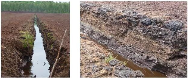 Осушение либо иное использование болот. Осушение земель. осушение заболоченных территорий. осушение торфяников. осушение почвы.