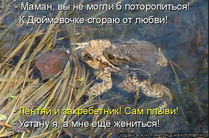 молодой рекой без устали плыви и не бойся простудившись заболеть. розенбаум возраст. стихи розенбаума. Wise old man. стихи розенбаума о любви.