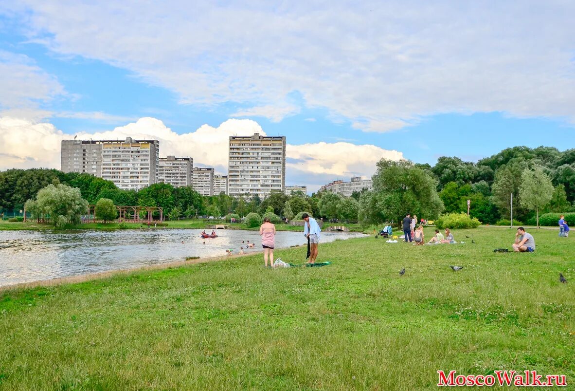 Терлецкий парк москва. Терлецкий парк пляж. Парк новогиреево терлецкие пруды. Терлецкий лесопарк пляж. Терлецкий парк пляж.