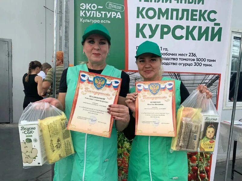 эко культура отзывы. эко культура отзывы. черри ардилес эко культура. томаты экокультура, 600 г. срок годности огурцы среднеплодные.