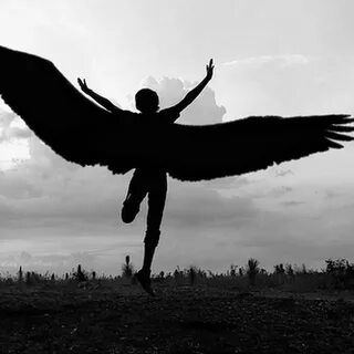 Fly angels