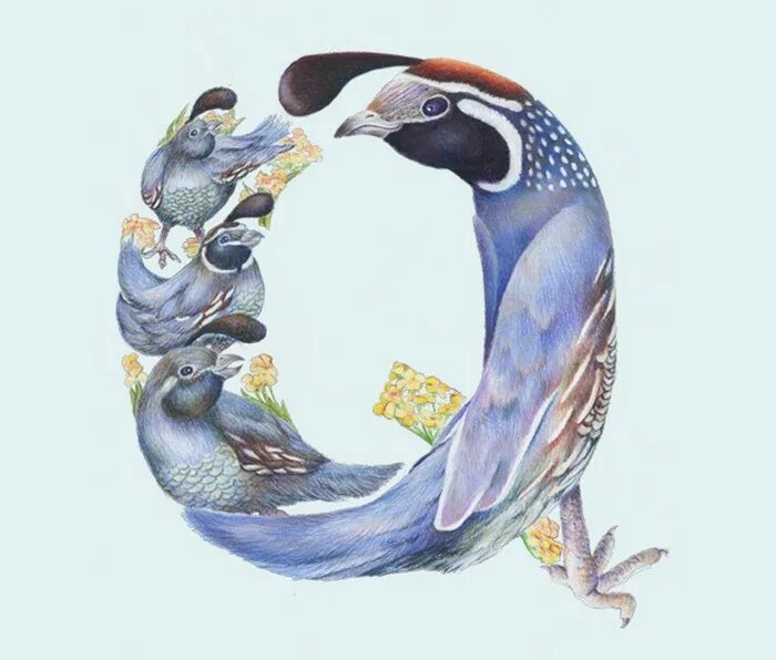 Буква образ животного. Буквы в виде зверей. Стилизованная буква а. Буквы в виде зверей. Стилизованная буква а.