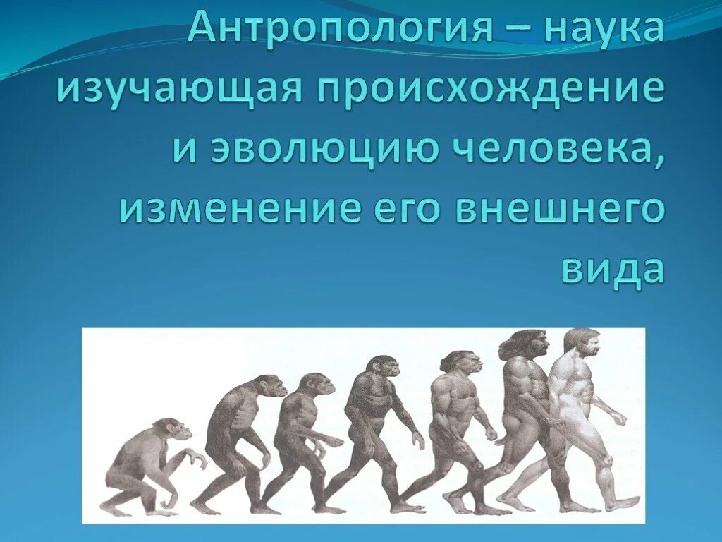 Происхождение возникновение развитие. Антропология это наука. Наука изучающая эволюцию человека. Что изучает антропология. Наука изучающая эволюционное происхождение человека.