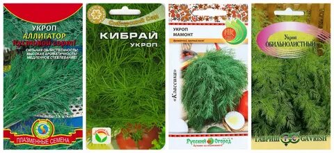Подкормка для укропа