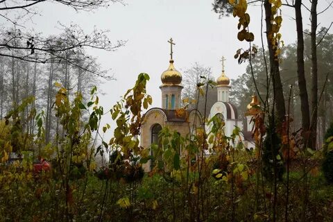 Свято елисеевский лавришевский мужской монастырь