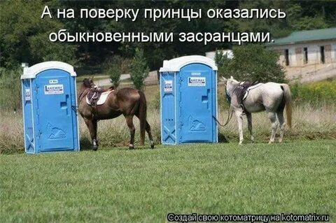 Было бы прикольно