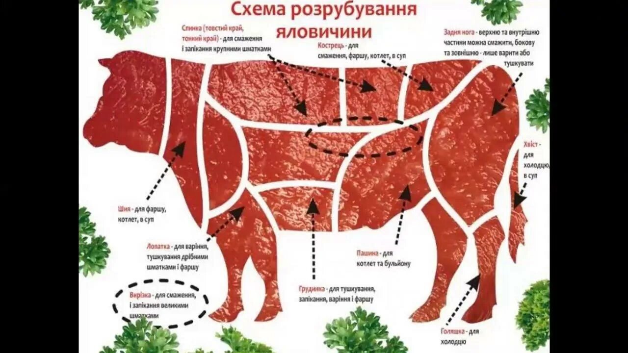 Схема разруба говядины. Схема мясо туша говяжья. Разделка туши говядины схема. Части говяжьей туши схема.