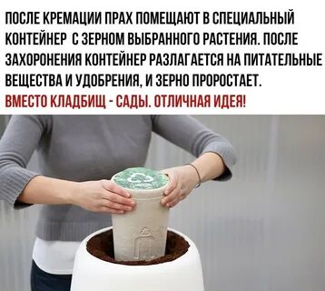 Пепел после кремации