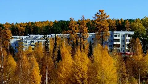 Северный город усть илимск