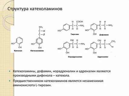 Дофамин почечная