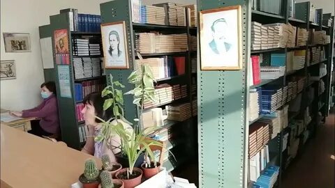 12 library