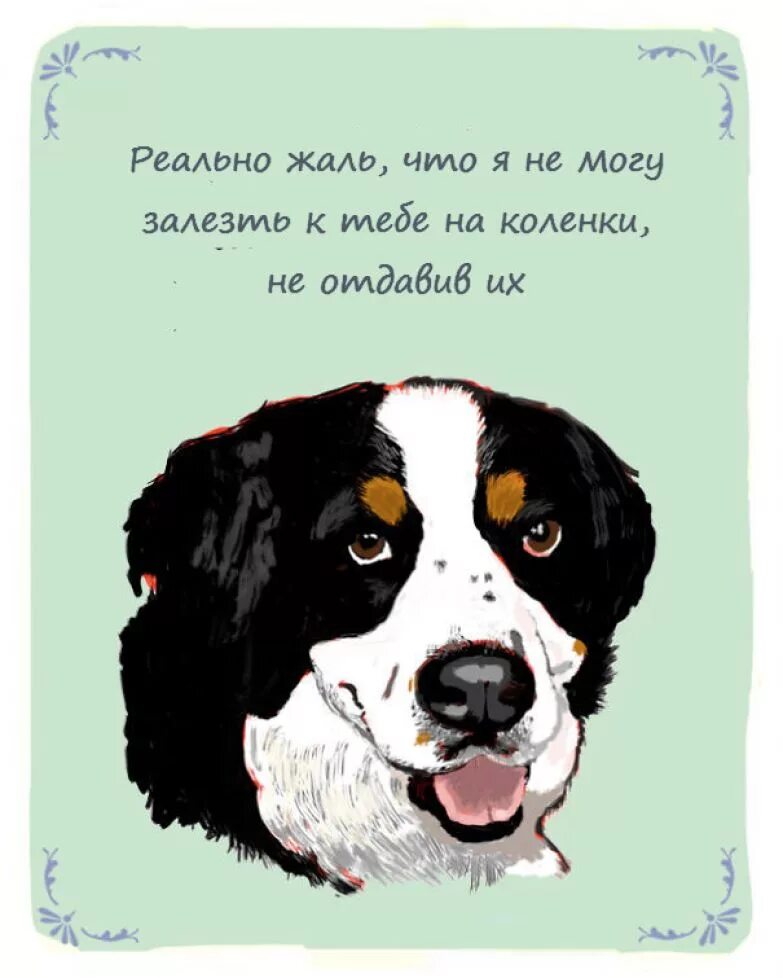 собачья мудрость. мысли щенка. мысли щенка. мысли собаки. приколы с собаками.