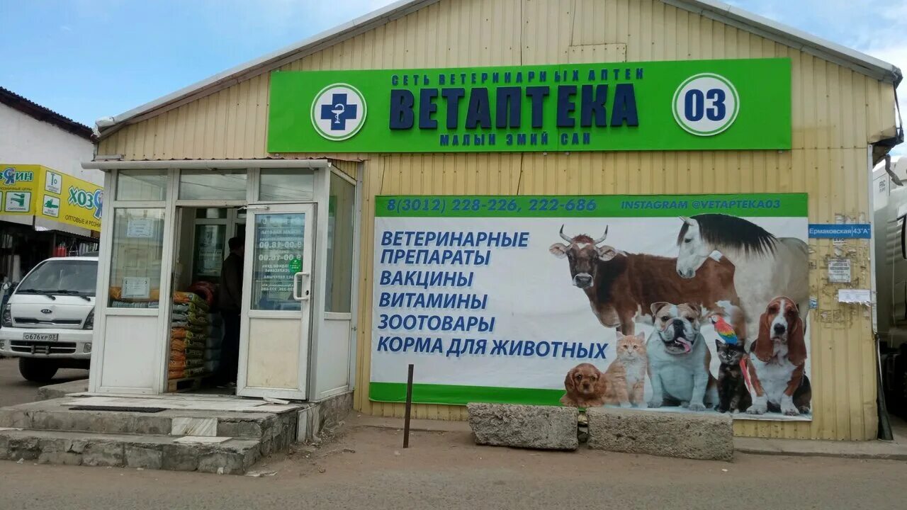 Ветаптека улан удэ. Ассортимент аптеки. Ветеринарная аптечная организация. Полки для хранения лекарств. Ветаптека улан удэ.