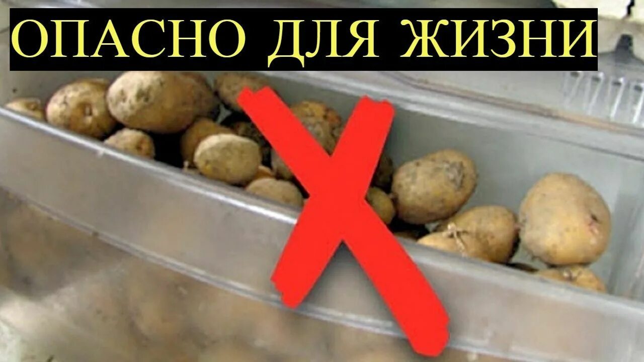 Сколько можно хранить картошку. Холодильник для картошки. холодильник для хранения картофеля. холодильник под картошку. хранение картошки на кухне.