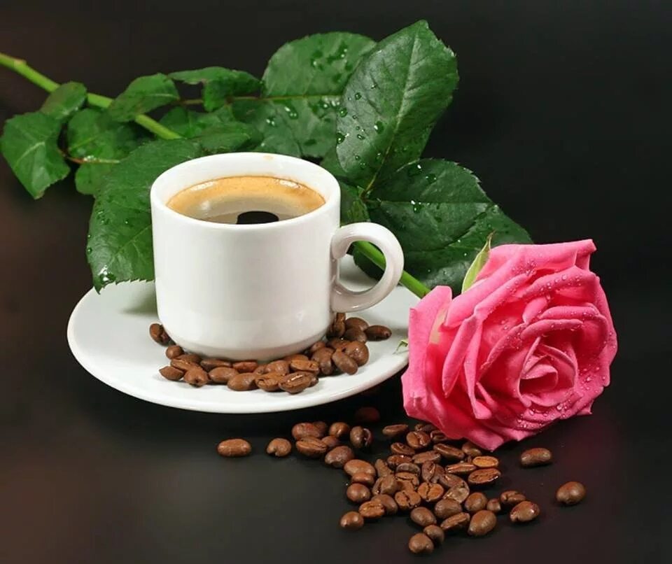 кофе и цветы. красивые цветы в чашке. кофе с цветами. картинка кофе розы доброе утро. кофе и цветы.