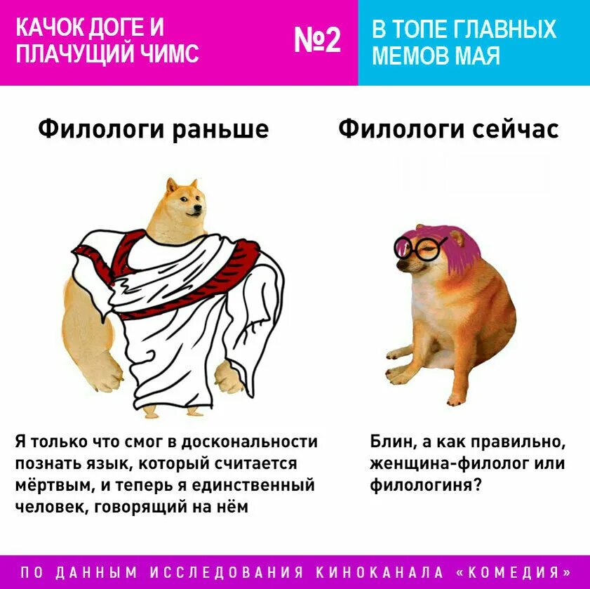 Доге качок. Сильная и слабая собака. Доге и Чимс. Doge качок. Доги Мем качок.