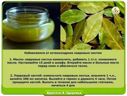 Приготовление масла лаврового листа