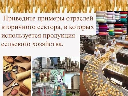 Вторичная отрасль хозяйства