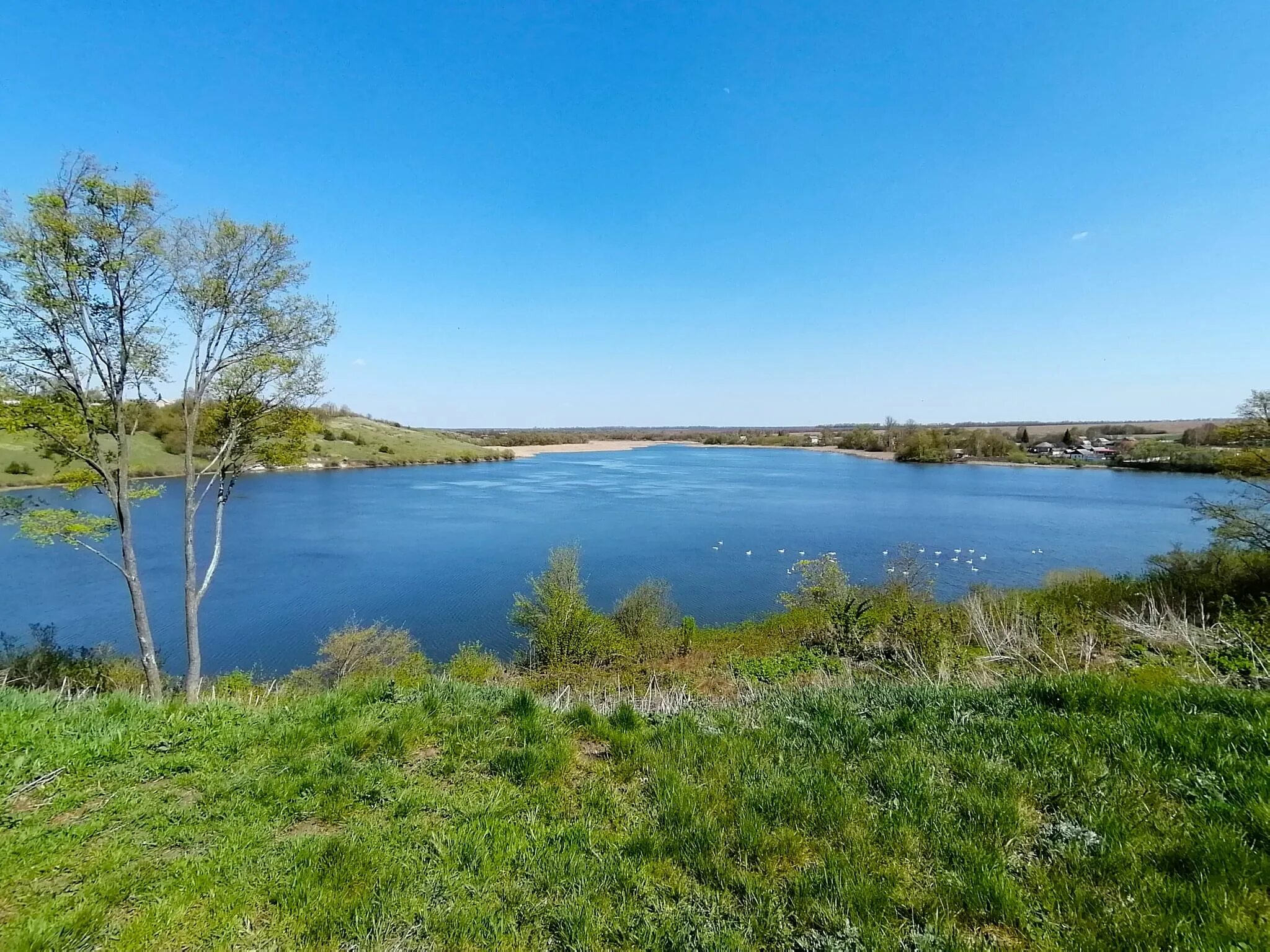 Село Береговое Прохоровский район. Село Береговое Прохоровского района Белгородской области. Село казачье Прохоровского района Белгородской области. Береговое Прохоровский район пруд.