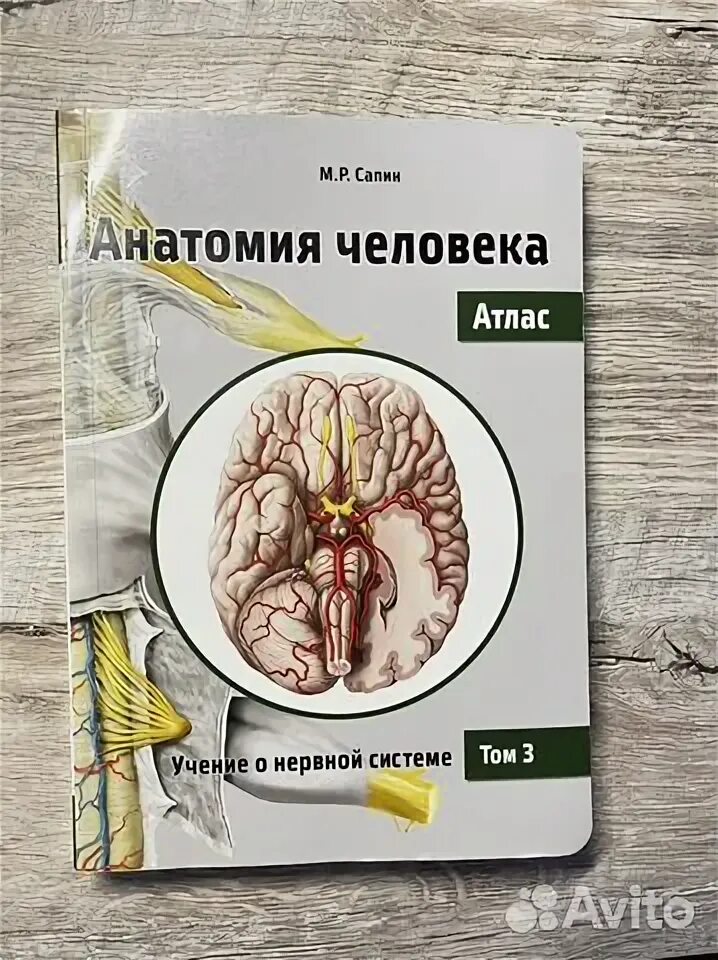 Анатомия человека сапин 1 том. Анатомия человека сапин билич 3 том. Нормальная анатомия человека м р сапин г л билич. Атлас анатомии человека сапин 1 том. Сапин 3 том.