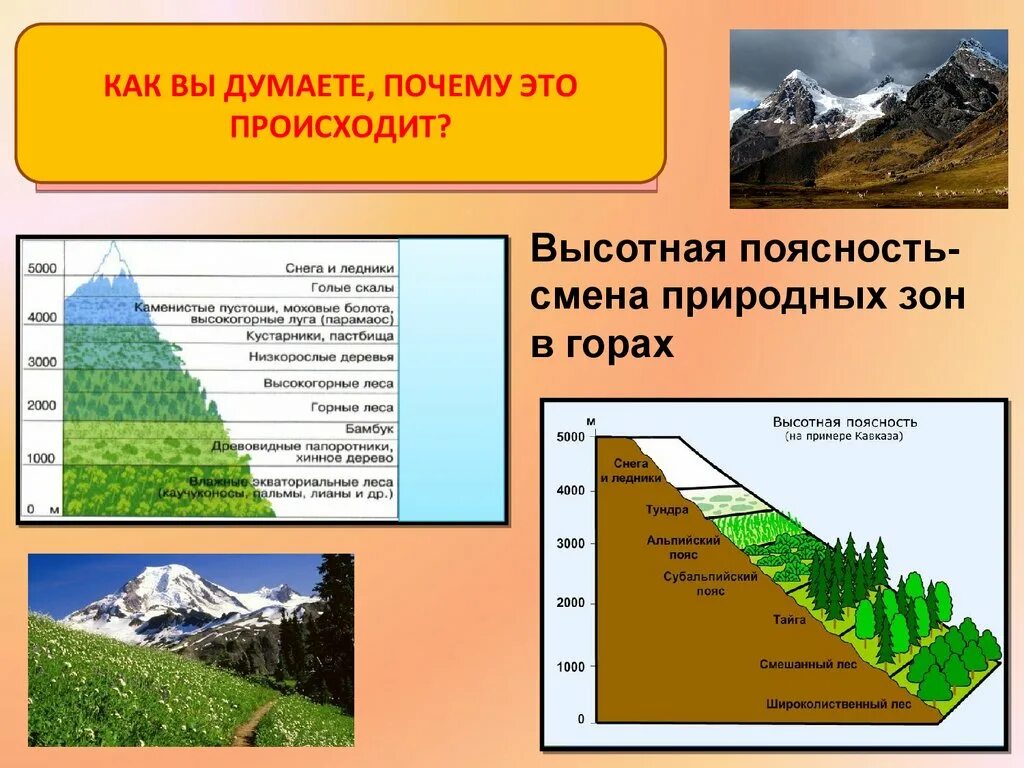 Какова причина зональности. Географические зональности природы. Широтная зональность и Высотная поясность. Широтная поясность России. Природная зональность 7 класс.