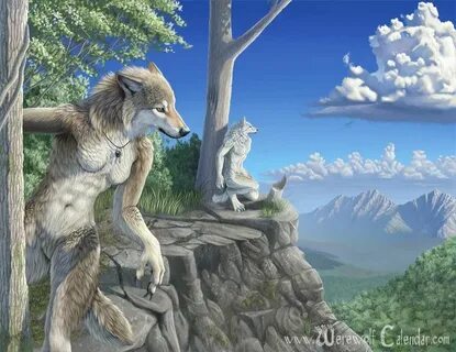 Wildlife furry
