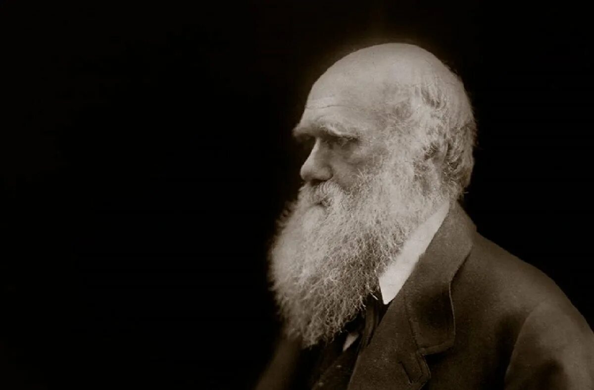 Дарвин это. 1882 Дарвин. Ч. Дарвин (1809 – 1882).
