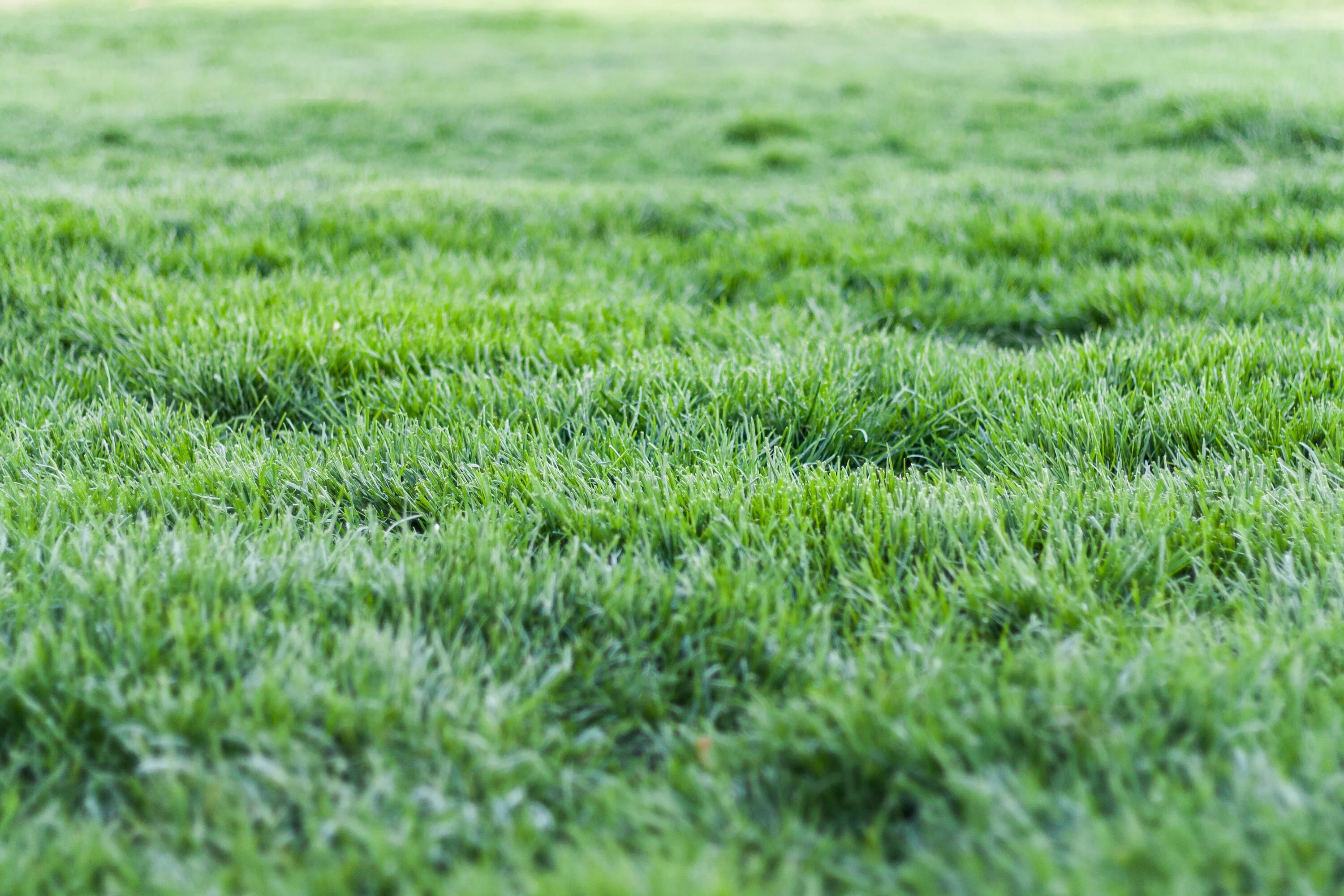 Ground