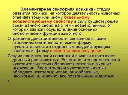 Сенсорная психика
