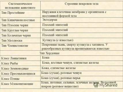 Какой покров тела у плоских червей