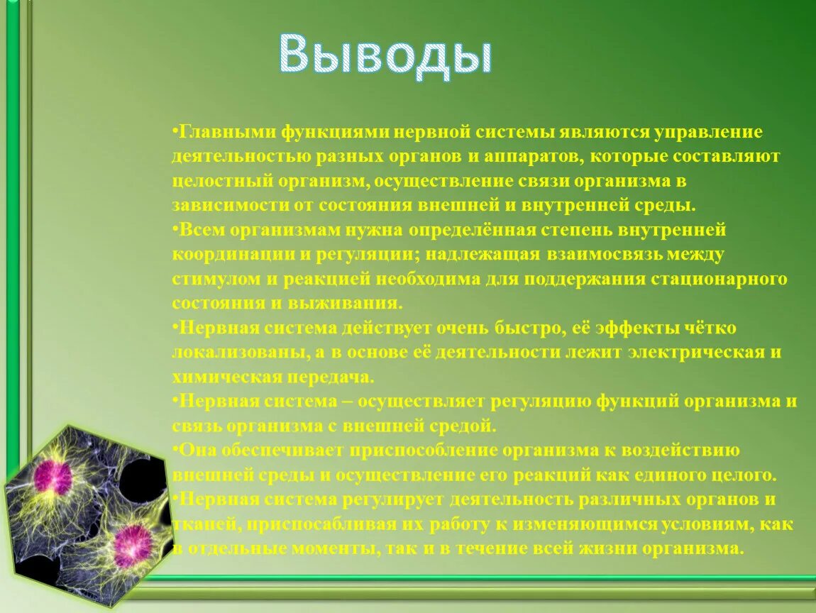 Какая наука изучает функции клеток. Наука изучающая функции наука изучающая строение и функции клеток. сочинить сказку о приключениях органоидов клетки. постэмбриональное развитие продолжается. какая наука изучает строение и функции клеток.