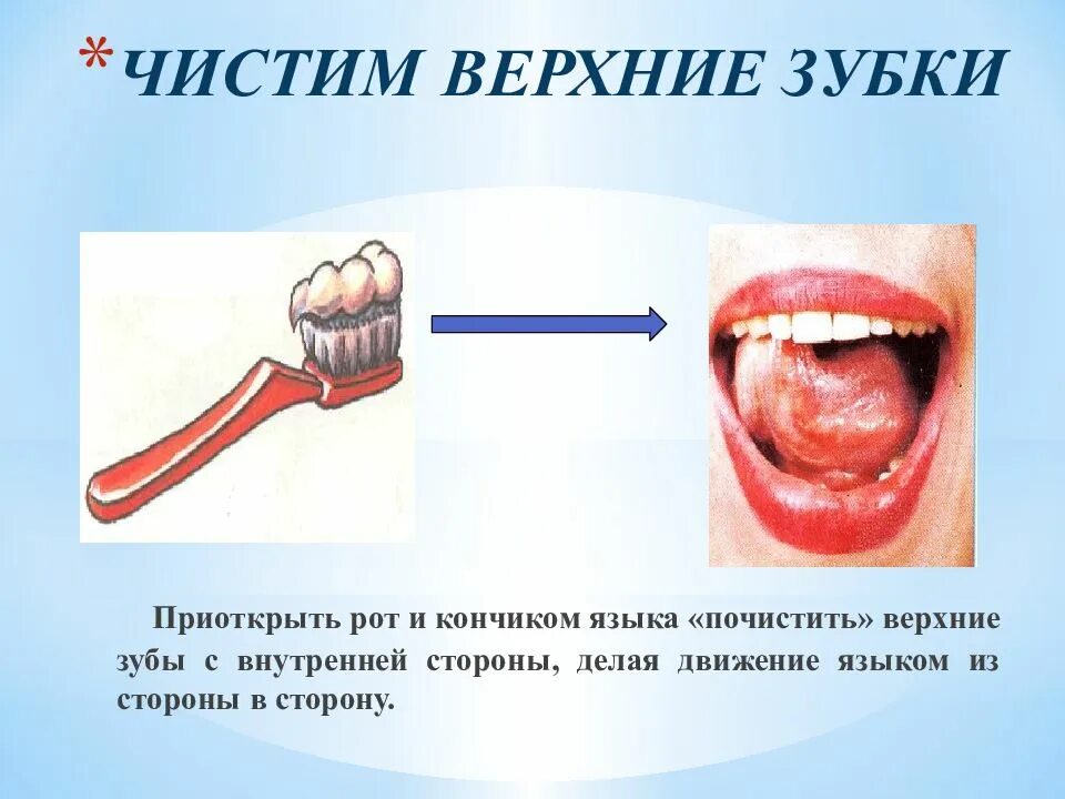 Чистим зубки артикуляционные. Артикуляционная гимнастика чистим зубы. артикуляционное упражнение чистим зубки. чистим верхние зубки артикуляционная гимнастика. артикуляционное упражнение чистим верхние зубки.