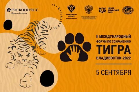 Сохранение тигра