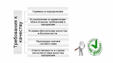 Кто отвечает за качество продукции на предприятии