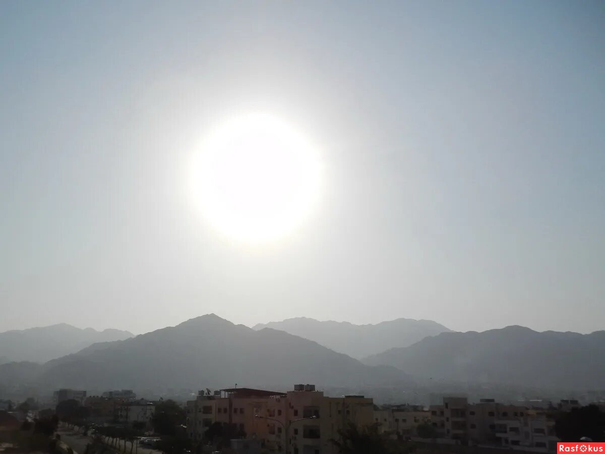 включи солнце белый. снимок солнца на белом. включи солнце белый. белое солнце.