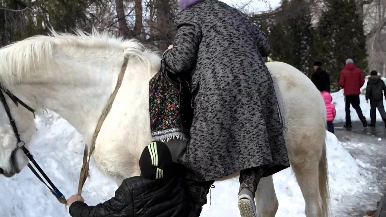 Обряд женщина в коне. Женщина на коне. Толстая женщина на лошади. Толстая женщина на коне.