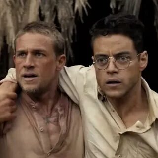 Papillon 2017