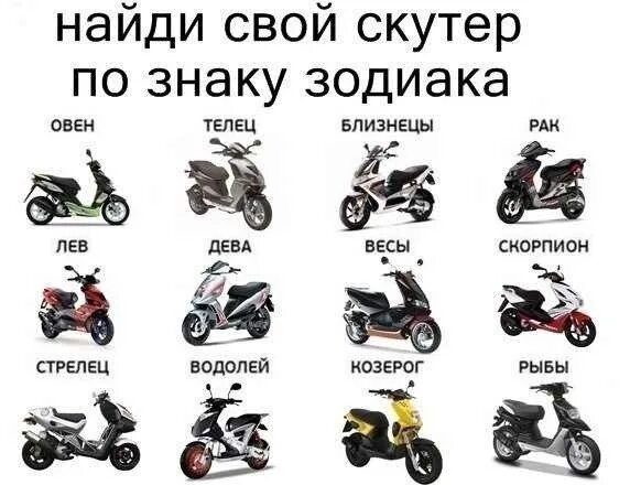 Все виды скутеров. Разновидности мопедов. Скутер с агрессивным видом. Вид спорта скутер. Скутер типы