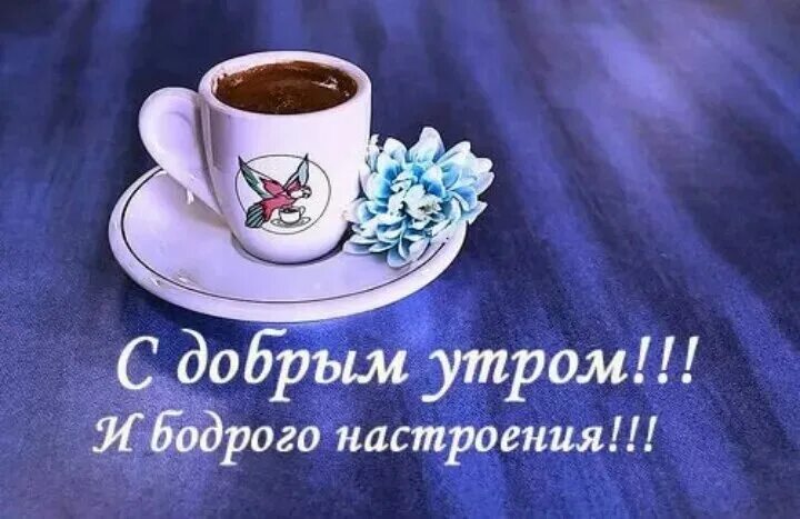 27 февраля вторник доброе утро. Бодрого доброго утра. Доброе утро вторника. С добрым бодрым утром. Доброго бодрого утречка.