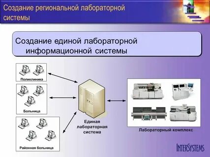 Лабораторная работа 1 информационные системы