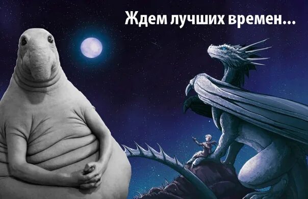 Когда ожидать следующую. Ждун. Магия и ждуны. Ждун Саша.