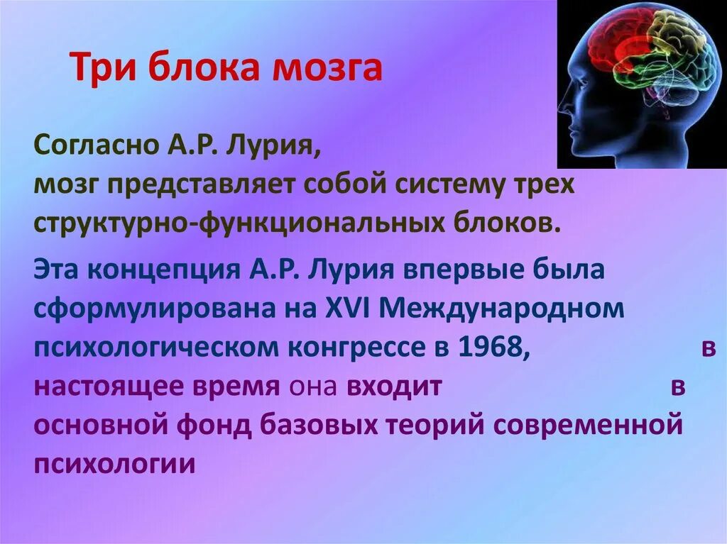 Нарушения блоков мозга. Три функциональных блока мозга по а.р Лурия. Лурия структурно-функциональные блоки мозга. Блоки головного мозга по а. р. Лурия. Концепция трех функциональных блоков мозга.