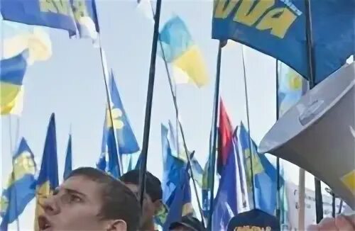 Всеукраинское объединение «свобода». Во свобода что это. Партия свобода. Во свобода что это. Крути во свобода.