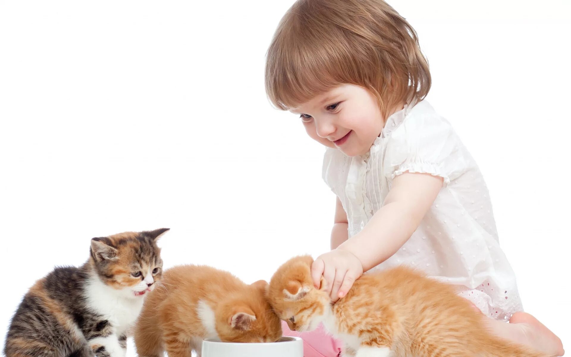 Котёнок-ребёнок. Домашние животные для детей. Кошка для детей. Забота о домашних животных. Мама помоги котенку