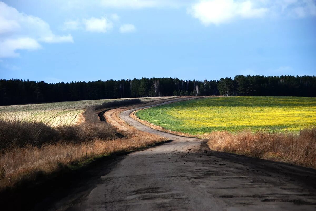 Поселковая дорога. Проселок Проселочная дорога. Сельская дорога. Сельские дороги. Дорога в селе.