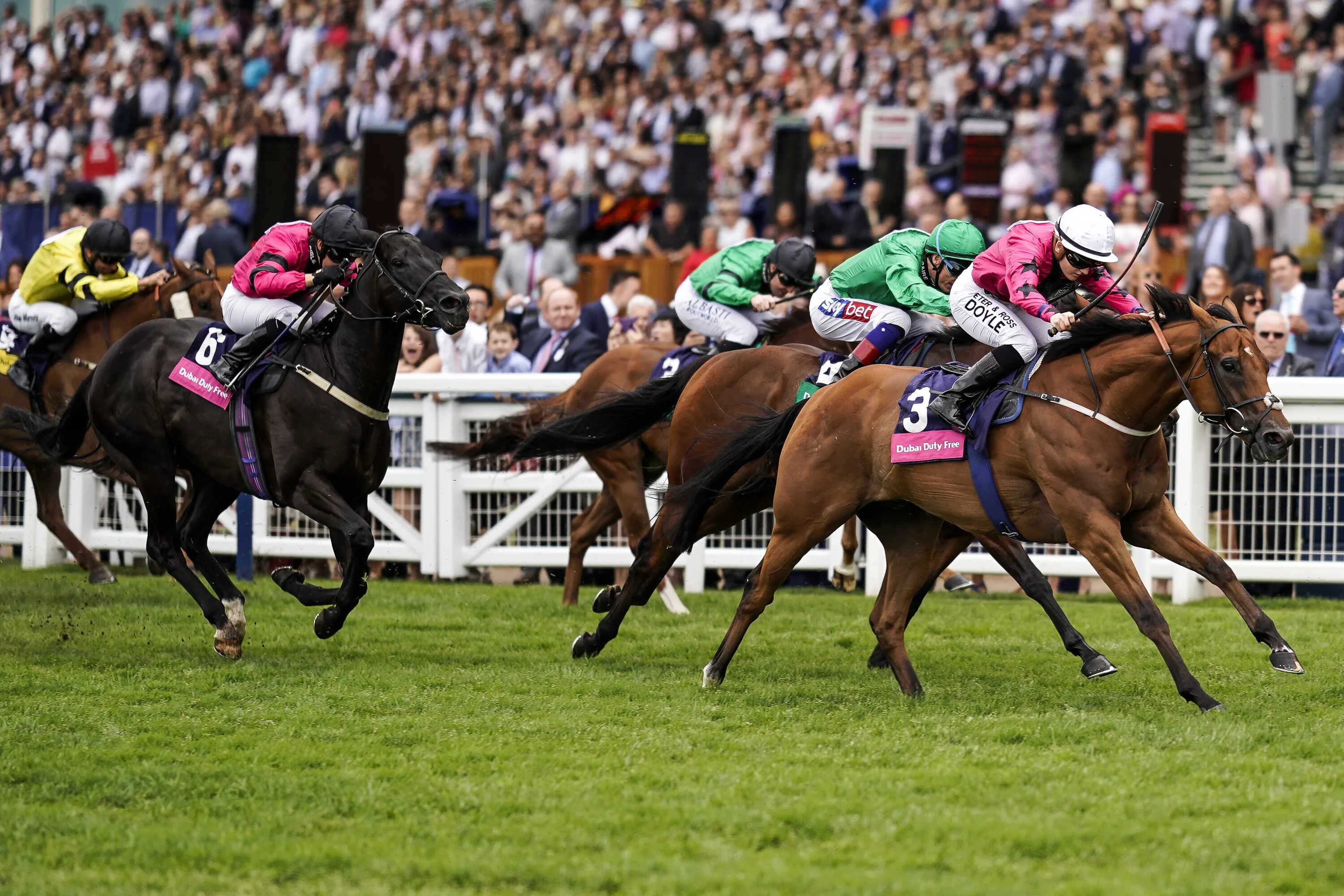 Шергар. Ascot Racecourse Великобритания. Скачки на лошадях. Лошадиные скачки. Фото с английских скачек.